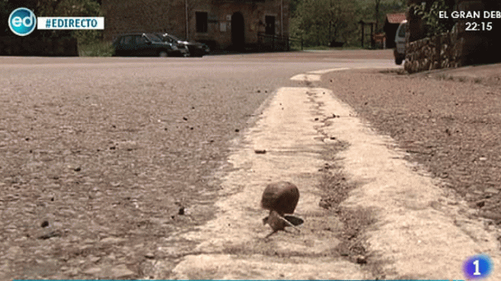 España Directo - Correpoco (Cantabria)