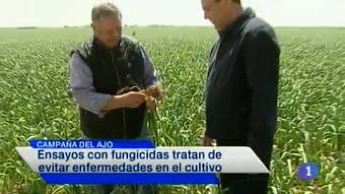 Noticias de Castilla-La Mancha 2 - 20/05/14