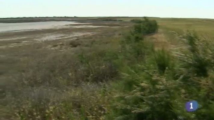 Noticias de Castilla-La Mancha - 21/05/14