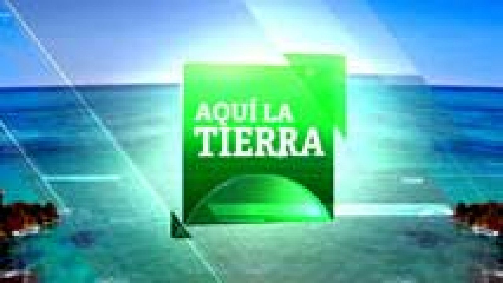 Telediario 1: Cita en La1 con el clima y el medio ambiente | RTVE Play