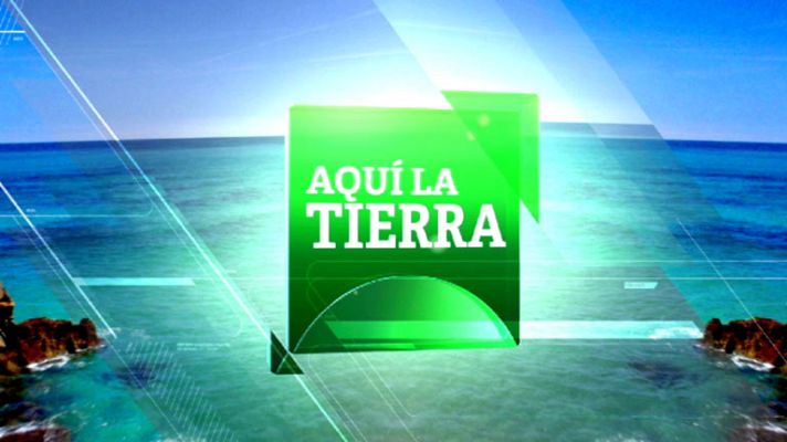 Telediario 1 - Cita en La1 con el clima y el medio ambiente