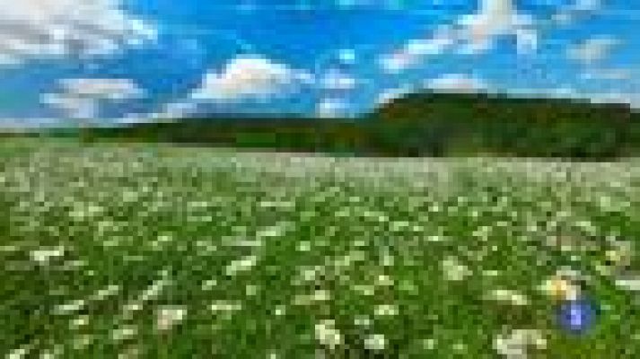 TeleCantabria - El tiempo en Cantabria - 23/05/14