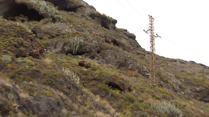 Telecanarias - Telecanarias - 24/05/14