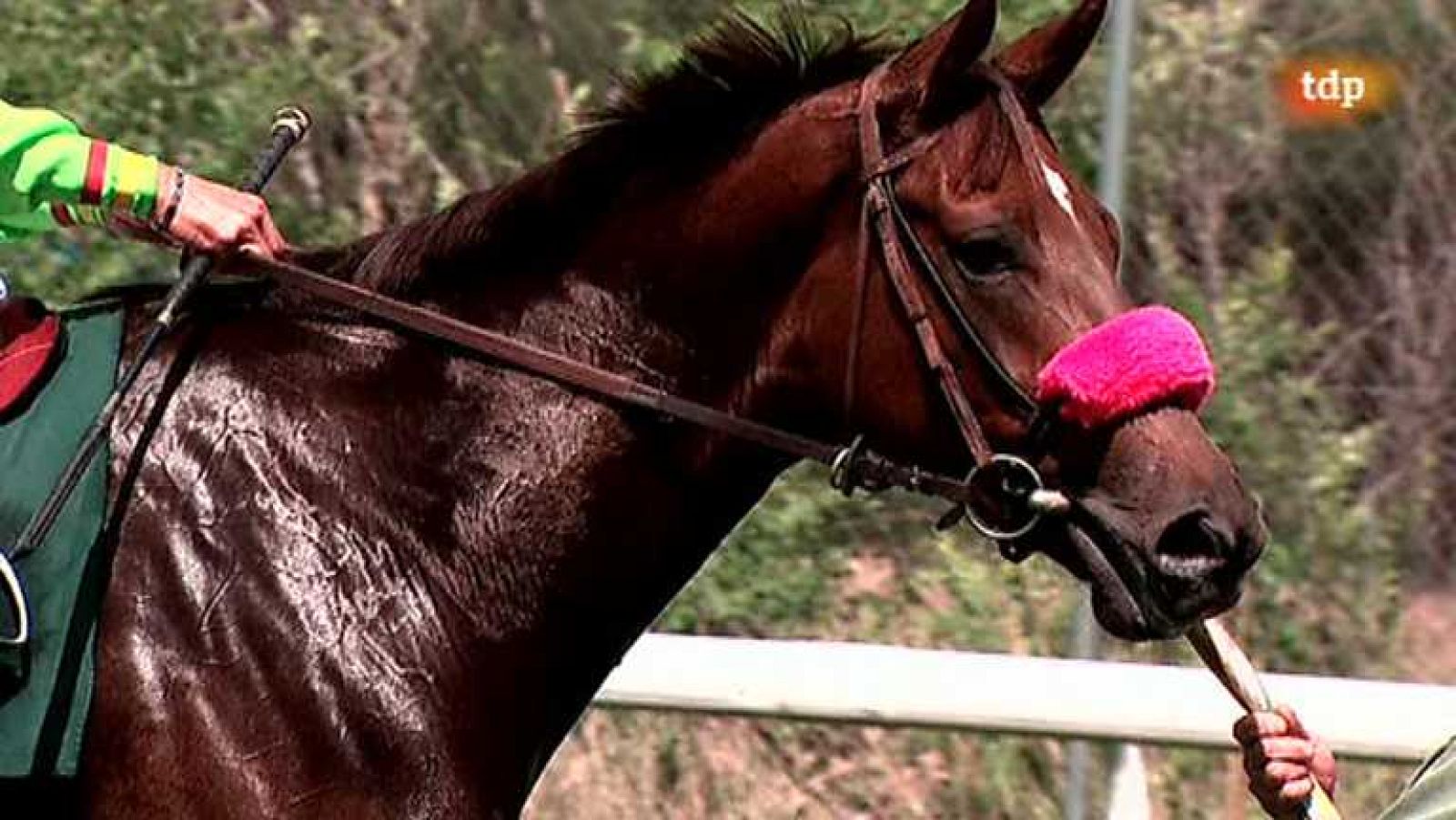 Turf - 25/05/14 - Ver ahora