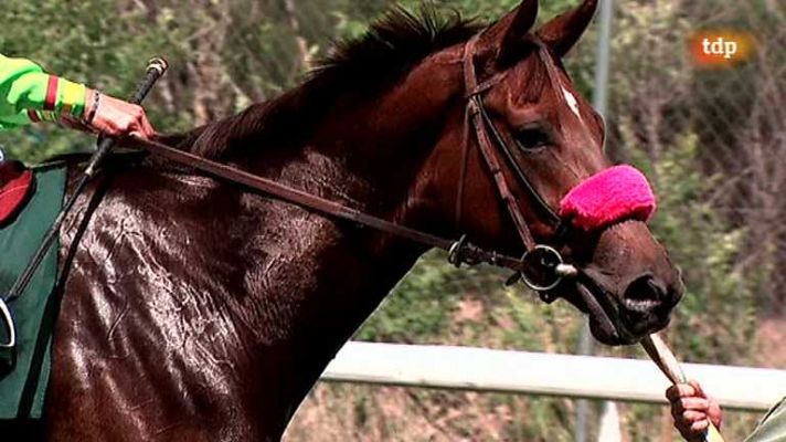 Turf - Turf - 25/05/14