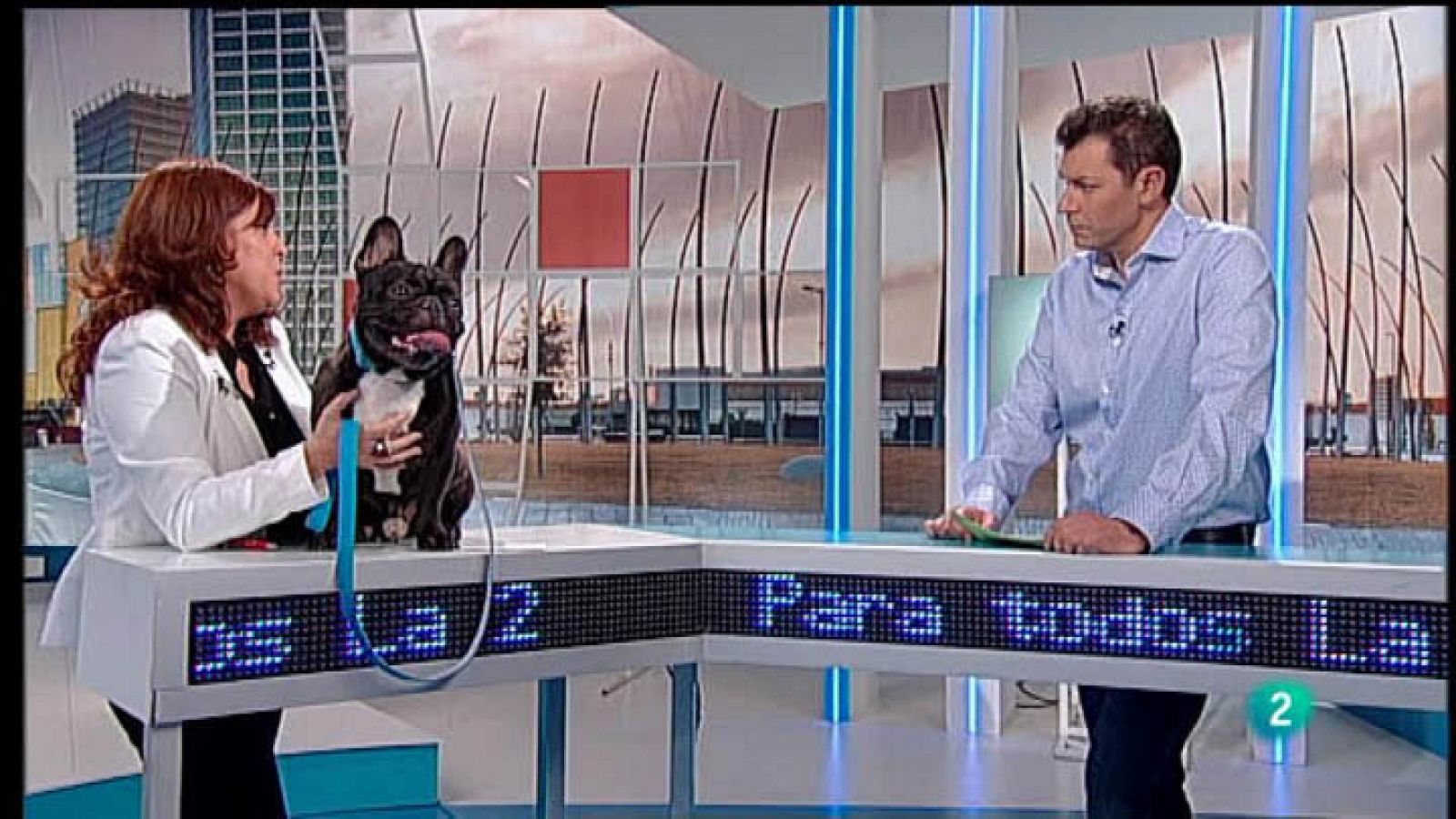 Para Todos La 2 - Animales domésticos - Protegerles del calor