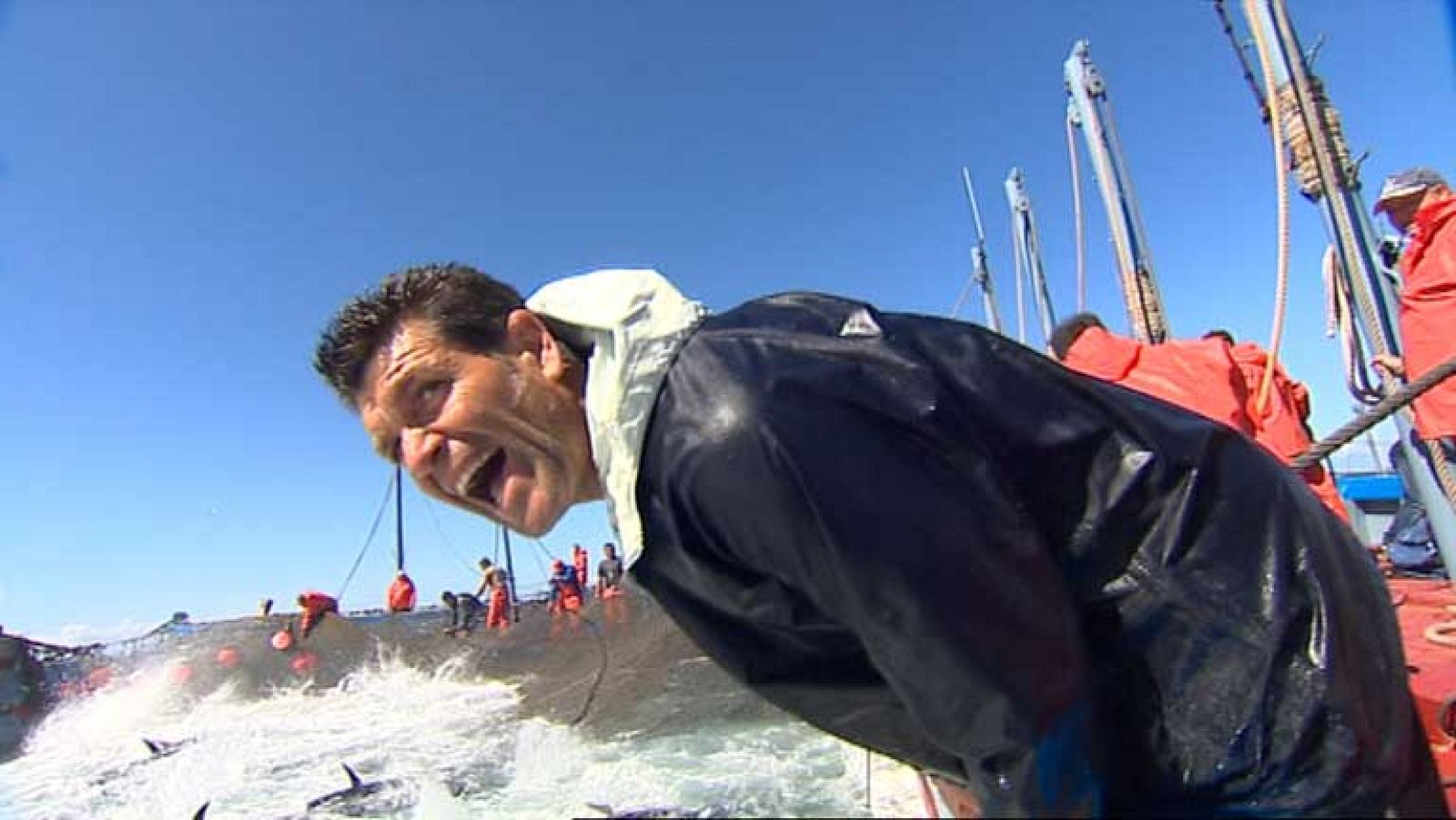 Comienza la temporada de la almadraba en Cádiz