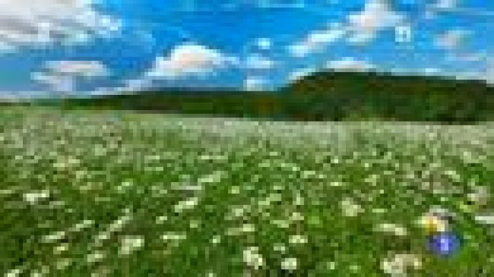 TeleCantabria - El tiempo en Cantabria - 26/05/14