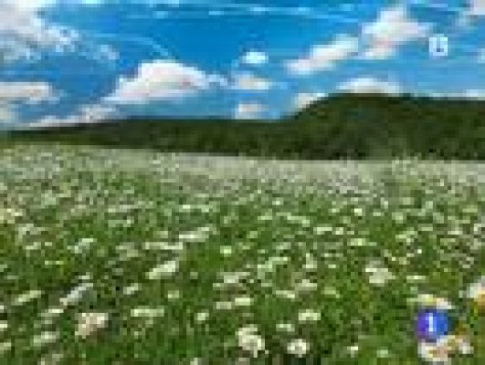 Informativo Telerioja - El tiempo en La Rioja - 27/05/14