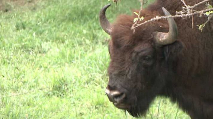 España en 24h - España en 24 horas - 28/05/14