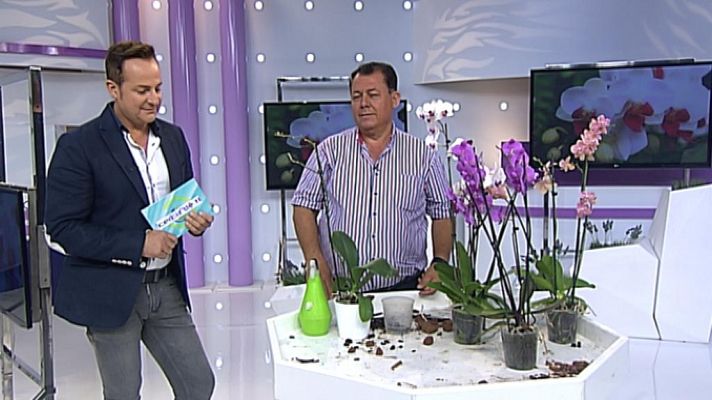 Cerca de ti - Cerca de ti - 28/05/14