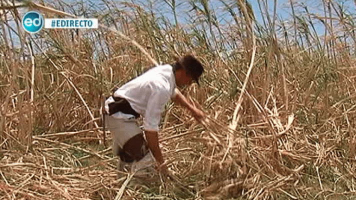 España Directo - El último mondero