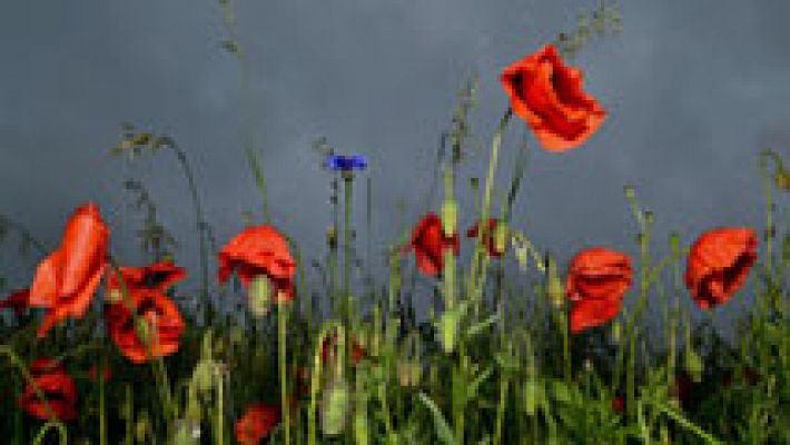 El tiempo - Lluvias en el norte y este peninsular