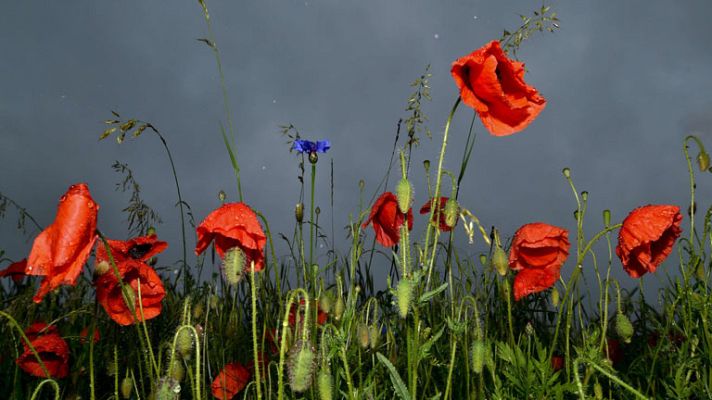 El tiempo - Lluvias en el norte y este peninsular