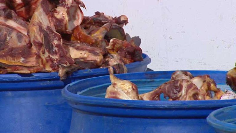 Cinco detenidos por introducir carne de caballo en mataderos de toda España 