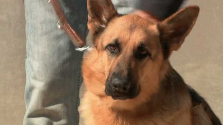 Para todos La 2 - Para todos La 2 - 29/05/14