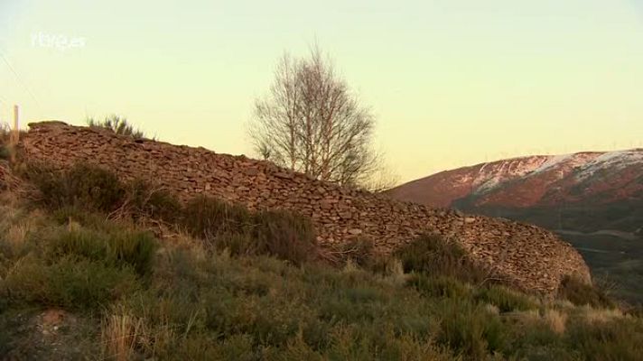 Crónicas - Felipe Lubián