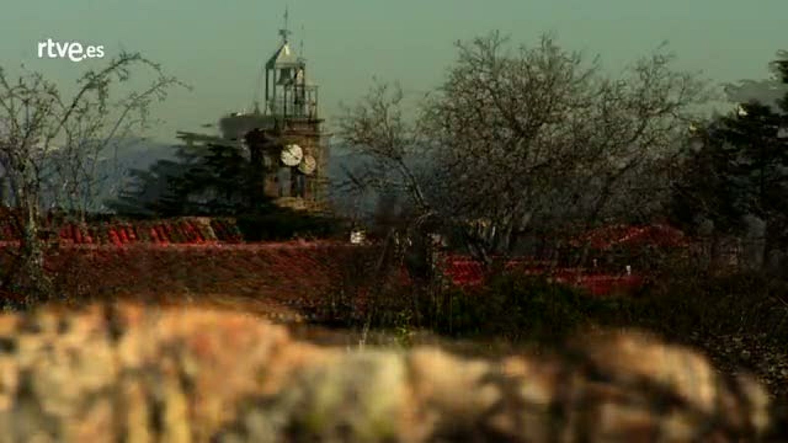 José Luis Santiago - Crónicas | Ver