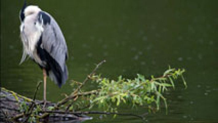 El tiempo - Chubascos en el Sistema Ibérico