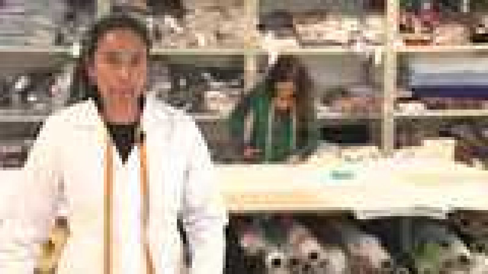 Aquí hay trabajo - 30/05/14 - Ver ahora  