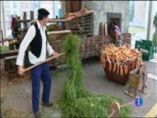 Panorama Regional - Asturias en 2' - 30/05/14