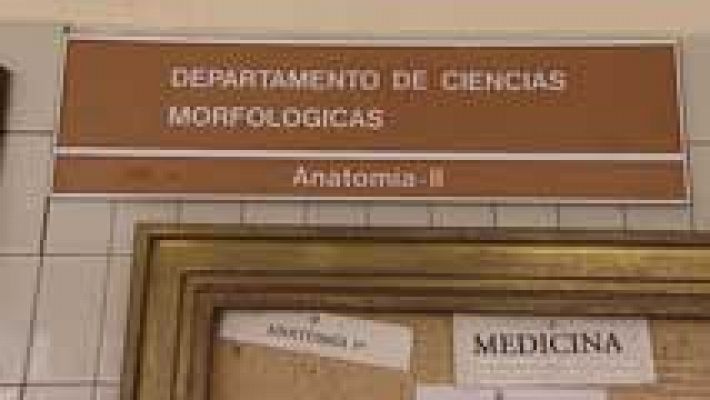 Telediario 1 - Sin restos humanos en la Complutense