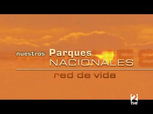 Espacios naturales - Espacios naturales - Nuestros parques nacionales - Timanfaya