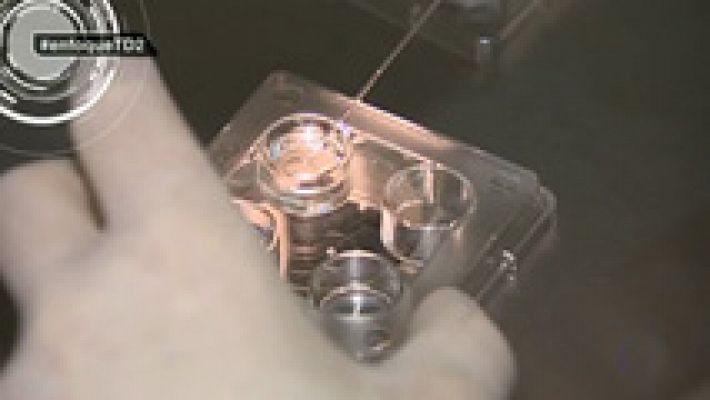 Telediario 1 - Tres de cada cien bebés nacen gracias a las técnicas de reproducción asistida