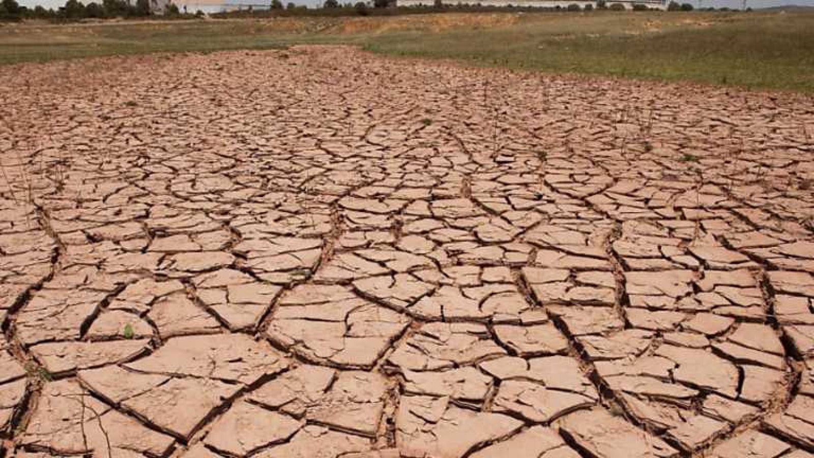 Agrosfera - 31/05/14 - ver ahora