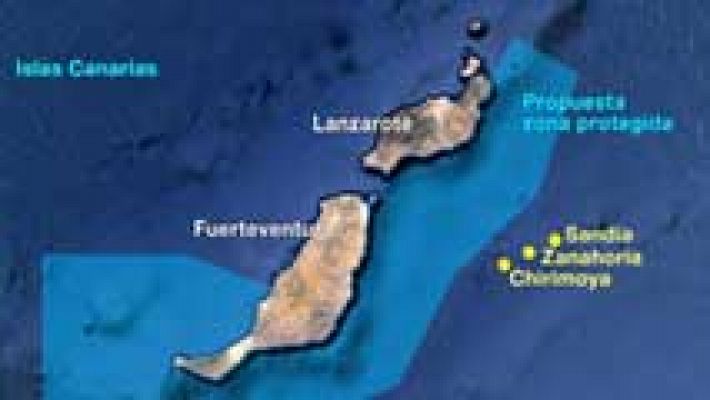 Vía libre para los sondeos petroleros en Canarias