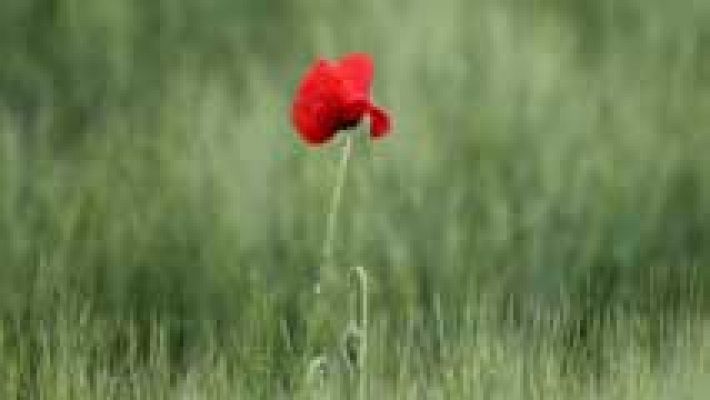 El tiempo - Ascenso térmico en el norte