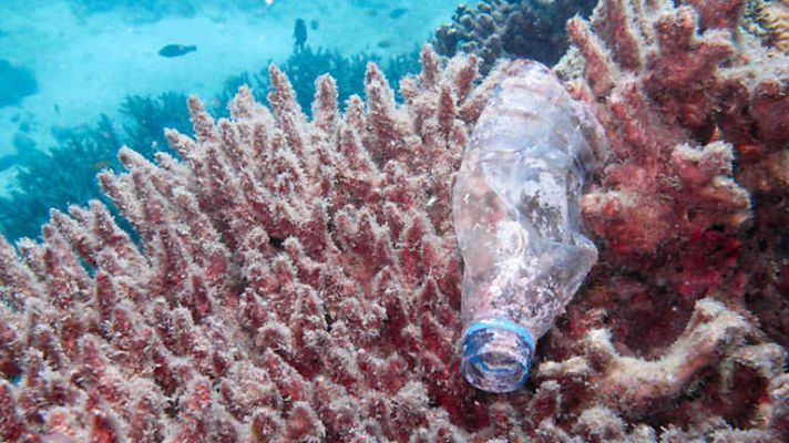 La noche temática - Océanos de plástico
