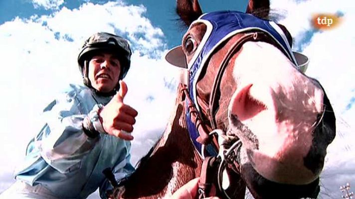 Turf - Turf - 01/06/14