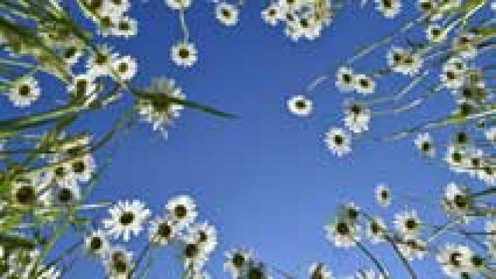 El tiempo - Ascenso moderado de las temperaturas