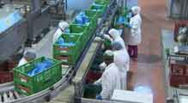 Telediario 1 - El paro registrado bajó en mayo en todos los sectores