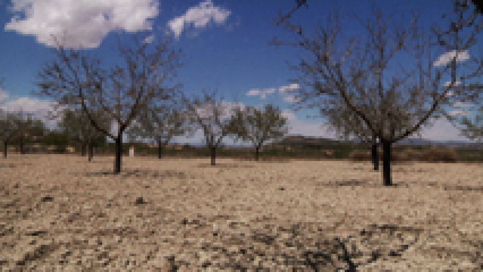 Aquí la Tierra: La sequía asola el sur de España | RTVE Play