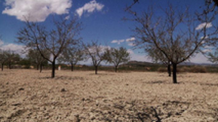 La sequía asola el sur de España