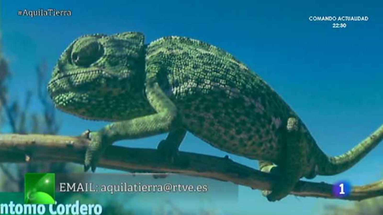 Aquí la Tierra - 03/06/14 - ver ahora