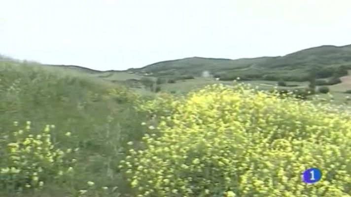 Telenorte - País Vasco - El tiempo en el País Vasco - 04/06/14