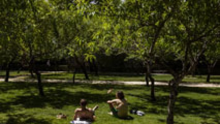 Informativo de Madrid - El Tiempo en la Comunidad de Madrid - 05/06/14