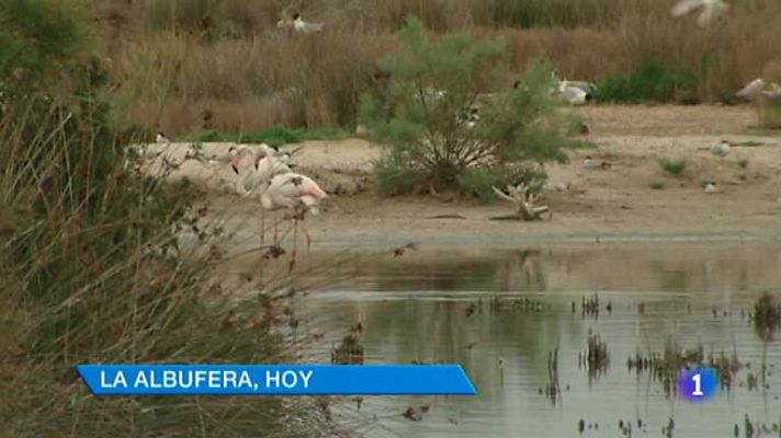 L'informatiu - Comunitat Valenciana - L'Informatiu - Comunitat Valenciana - 05/06/14