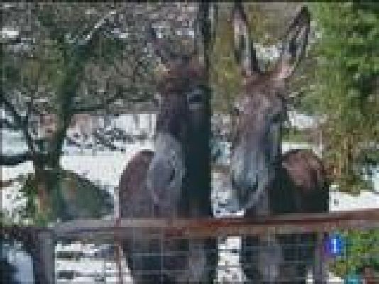 Panorama Regional - Panorama Regional - 05/06/14