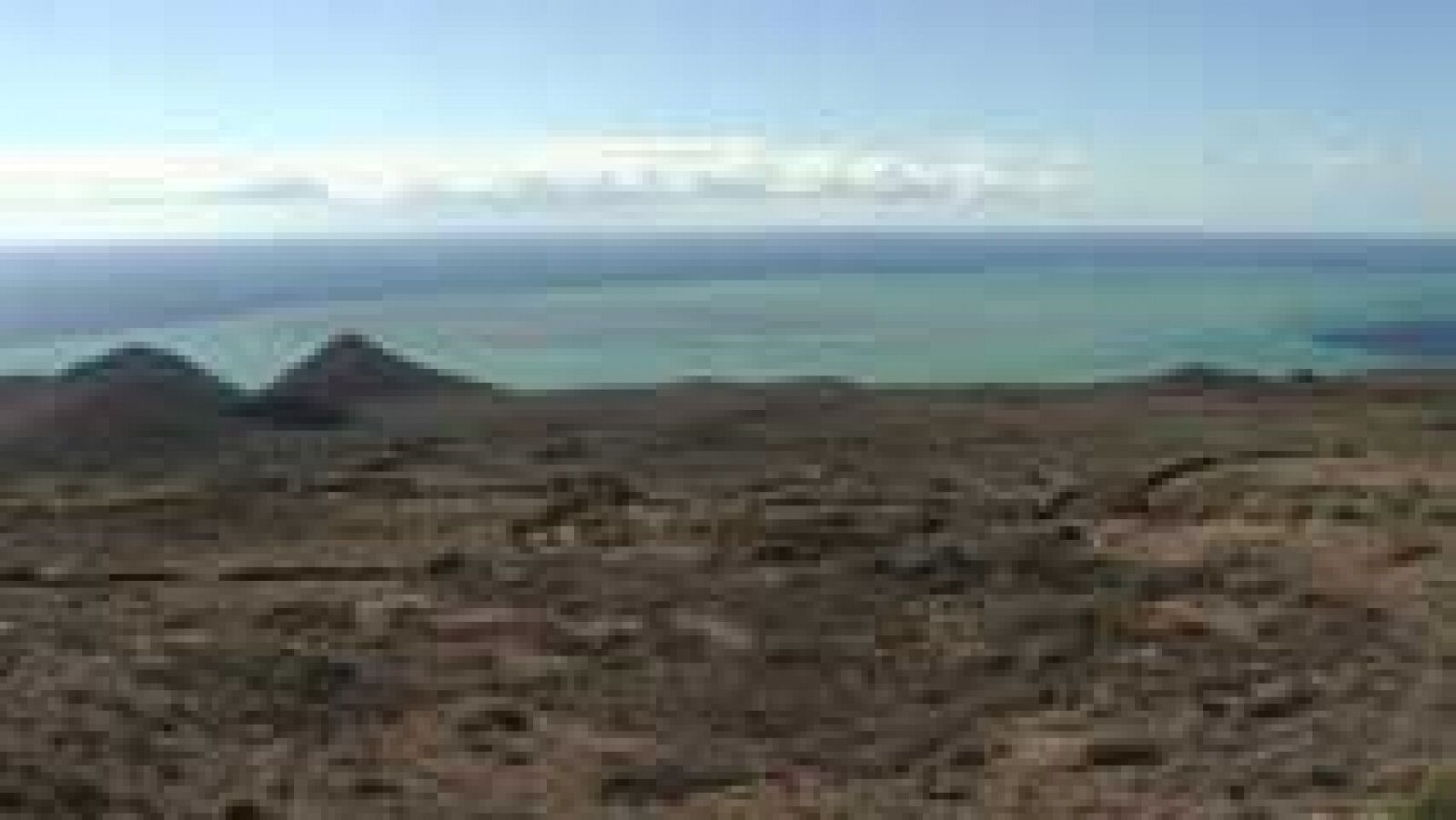 El Hierro recupera su ecosistema después de la erupción del volcán hace tres años