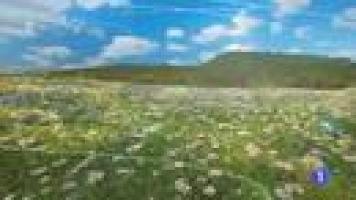 TeleCantabria - El tiempo en Cantabria - 05/06/14