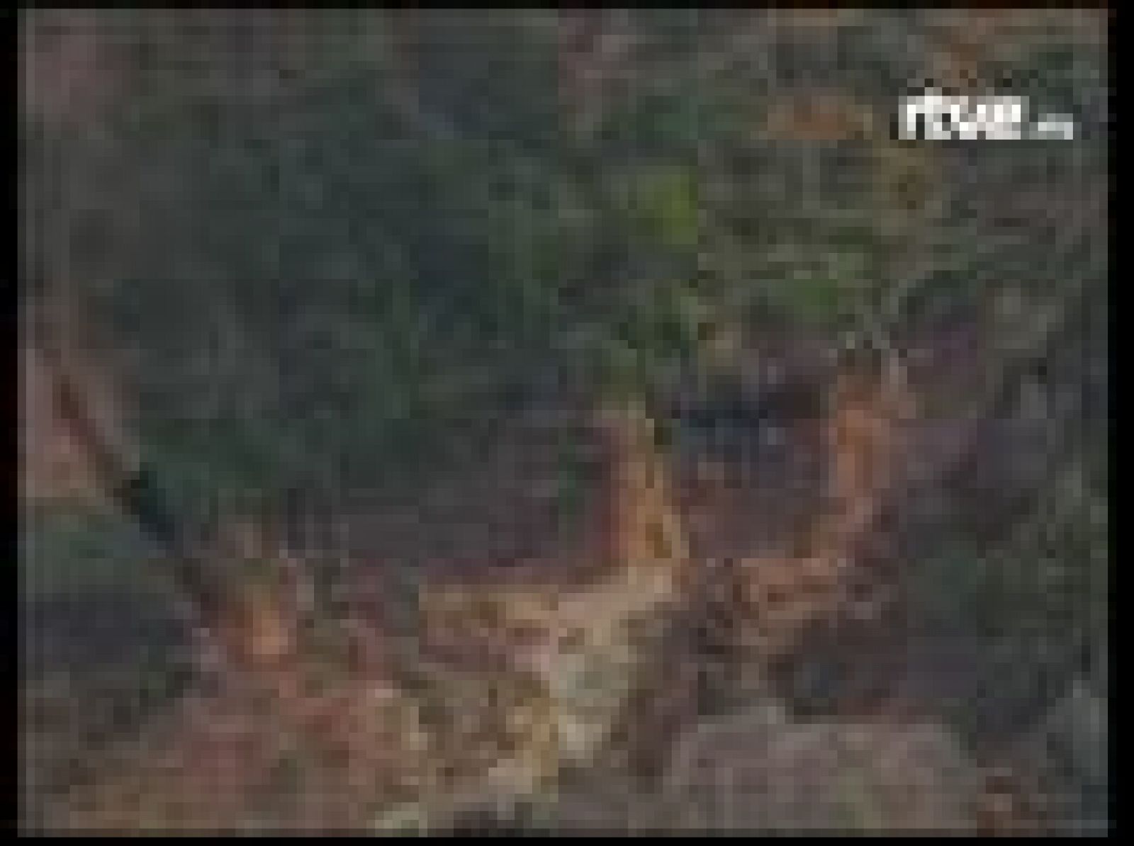 Se rompe una presa cerca del Gran Cañón | Ver