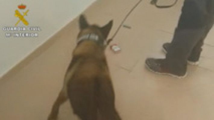 Informativo de Madrid - La Comunidad de Madrid en 4' - 06/06/14