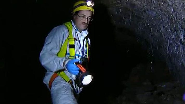 Telediario 1 - Aumenta el riesgo de plagas en las ciudades con el calor