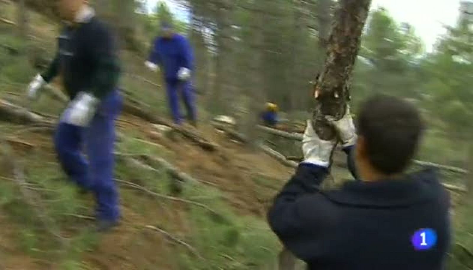 Noticias Aragón 2- 06/06/14 | Ver