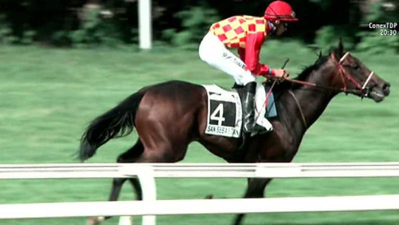 Turf - 06/06/14 - Ver ahora