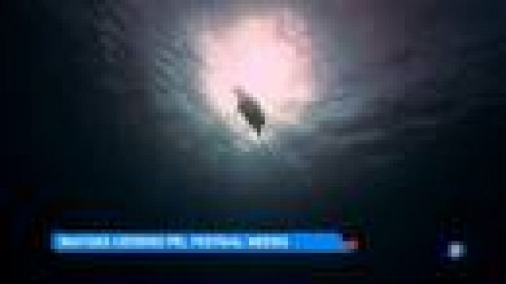 L'Informatiu - El Festival Medes d'imatges subaquàtiques